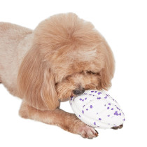 FOFOS Rugby Ball Fetch Dog Toy, White/Purple