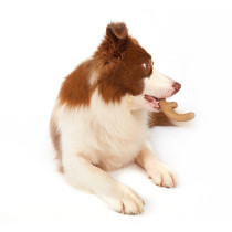 FOFOS Woodplay Antler Dog Toy, Brown