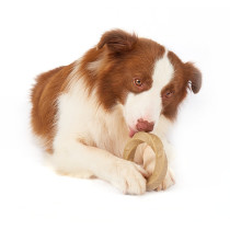 FOFOS Woodplay Ring Dog Toy, Brown