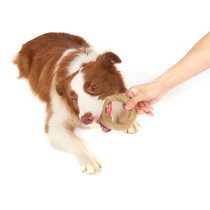 FOFOS Woodplay Ring Dog Toy, Brown