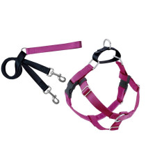 2 Hounds Design Freedom No-Pull Harness And Leash, Raspberry / Medium 1 Inch