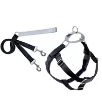 2 Hounds Design Freedom...