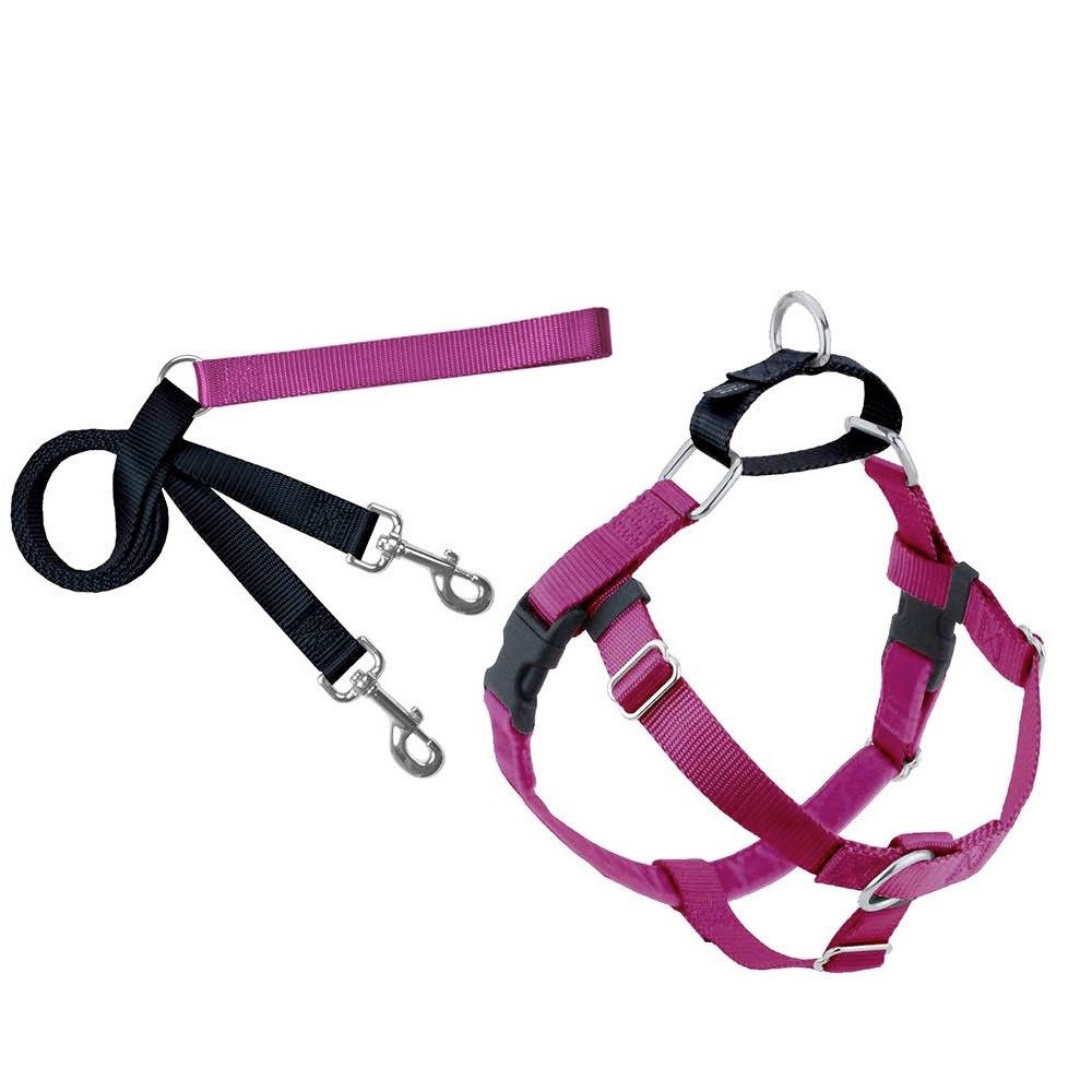 2 Hounds Design Freedom No-Pull Dog Harness With Leash, Raspberry/Small 5/8 Inch
