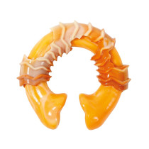 M-PETS Carnivore Ring Bone Dog Toy, Small