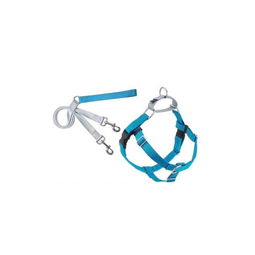 2 Hounds Design Freedom No-Pull Dog Harness With Leash, Turquoise/Large 1 Inch