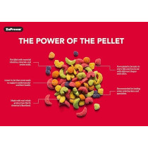 Zupreem Fruitblend For Medium-Large Parrots, 15.88 Kg