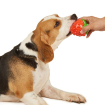 FOFOS Tough Fruit Silence Strawberry Dog Toy, Red