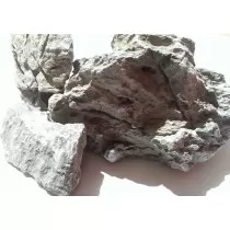 Dymax Green Dragon Rock...