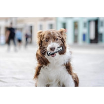 Julius-K9 Easy Attachment And Removal Girlpower Patch, Large