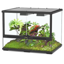 Aquatlantis Glass Terrarium 60 x 45 x 45 Cm