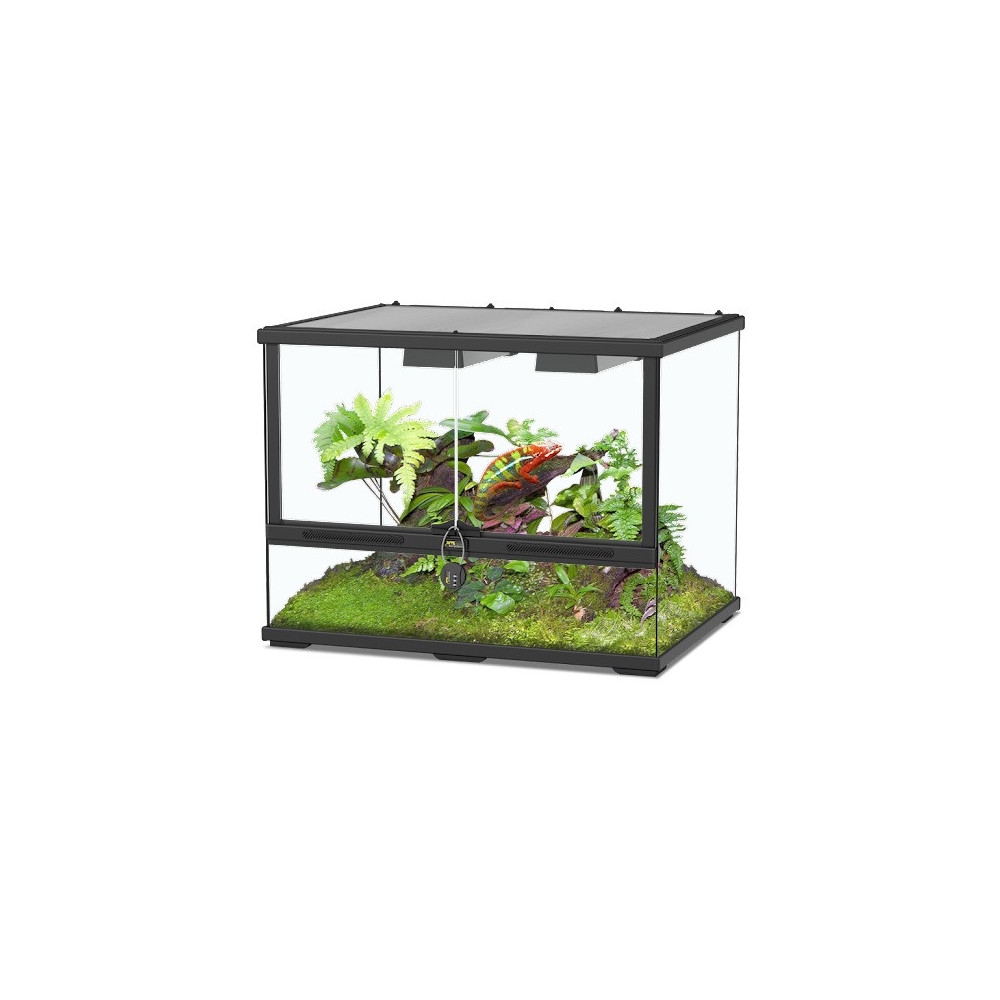 Aquatlantis Glass Terrarium 60 x 45 x 45 Cm