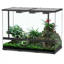 Aquatlantis Glass Terrarium...