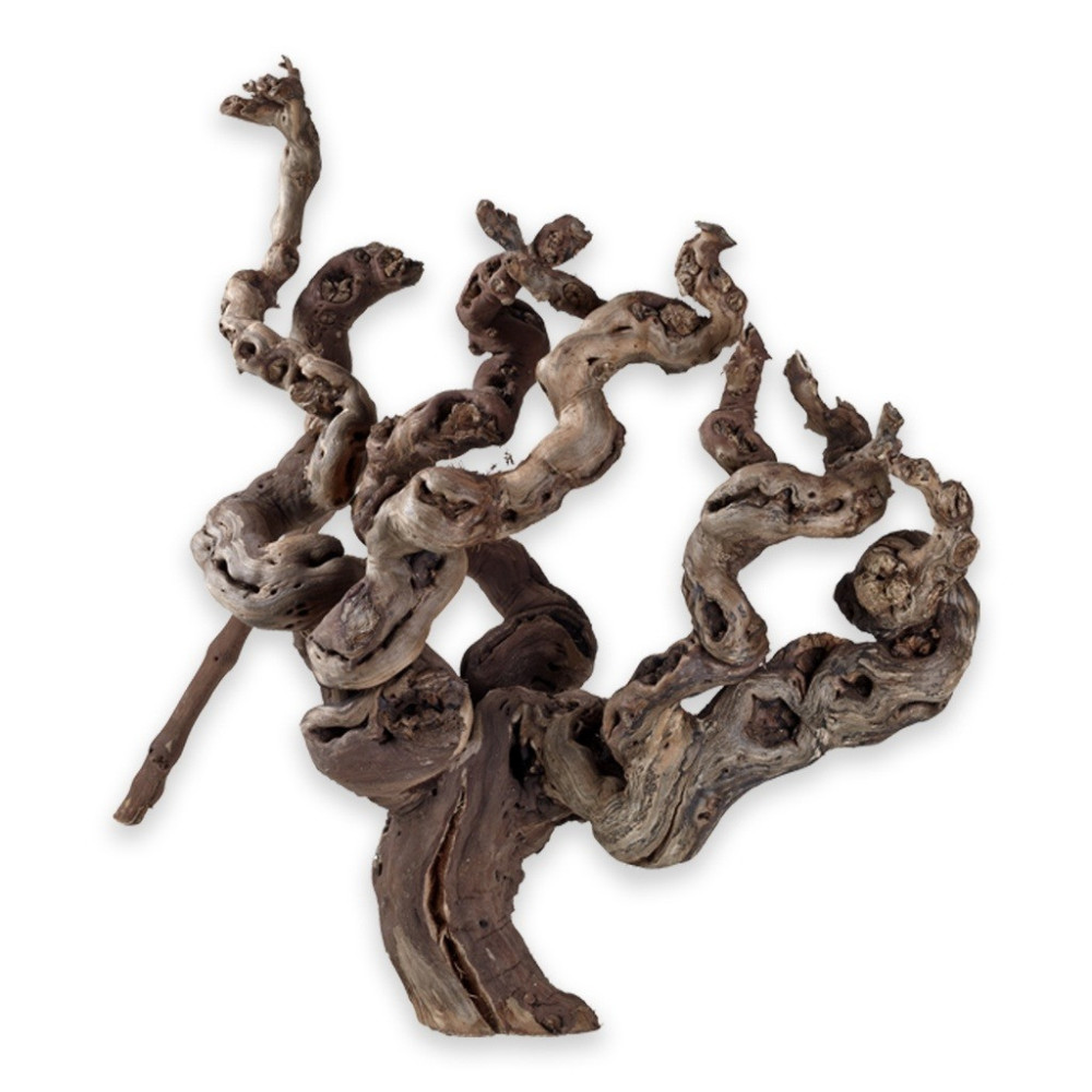 Hobby Terrarium Decoration Grapevines, Small, 30Cm