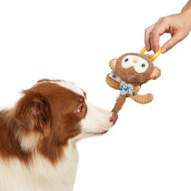 FOFOS Monkey Puppy Toy, Soft And Plush, Multicolour