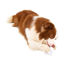 FOFOS Ultra-Durable Dog Ball, White