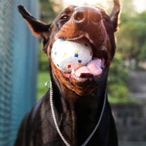 M-Pets Bloom Ball I Dog Toy, White