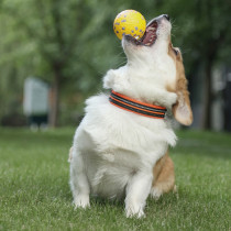 M-Pets Bloom Ball III Dog Toy, Yellow