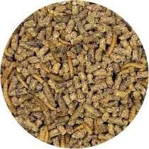 Exotic Nutrition Hedgehog Complete Food, 2.26 Kg