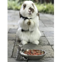 Exotic Nutrition Herbivore Healthy Treat For Small Animals, 85 Gram
