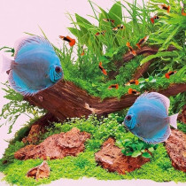 Juwel Aquarium High-Lite Pink 1200 mm, 54 Watt T5 Tube Light