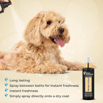 Groom Professional Mandarin And Rose Cologne Luxury, 200 Ml