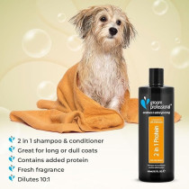Groom Professional 2 In 1 Protein Shampoo, 450 Ml