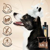 Groom Professional Argan Oil Shampoo, 4 Litre