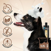 Groom Professional Argan Oil Shampoo, 450Ml