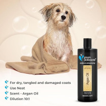 Groom Professional Argan Oil Shampoo, 450Ml