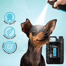 Groom Professional Baby Fresh Cologne Perfume, 4Litre