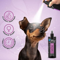 Groom Professional Canine One Cologne/Perfume Sweet Female Fragrance, 500Ml
