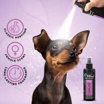 Groom Professional Canine One Cologne/Perfume, Sweet Female Fragrance, 200 Ml