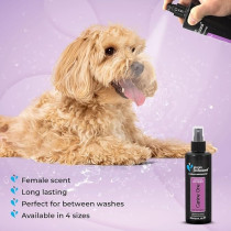 Groom Professional Canine One Cologne/Perfume, Sweet Female Fragrance, 200 Ml