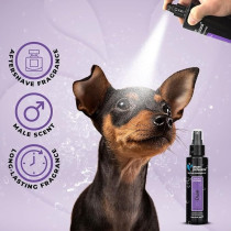 Groom Professional Duke Pet Cologne/Perfume, 100 Ml