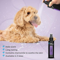 Groom Professional Duke Pet Cologne/Perfume, 100 Ml