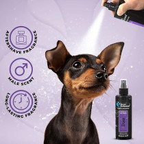 Groom Professional Duke Pet Cologne/Perfume, 200 Ml