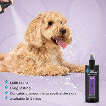 Groom Professional Duke Pet Cologne/Perfume, 500 Ml