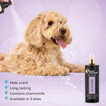 Groom Professional Exclusive Iris And Amber, 500 Ml