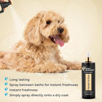 Groom Professional Exclusive Mandarin And Rose Fragrance, 500 Ml