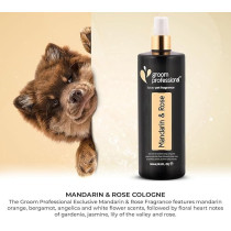 Groom Professional Exclusive Mandarin And Rose Fragrance, 500 Ml