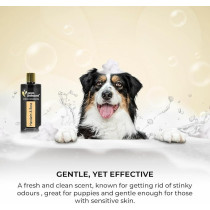 Groom Professional Exclusive Mandarin And Rose Shampoo, 4 Litre