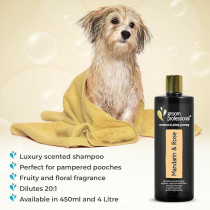 Groom Professional Exclusive Mandarin And Rose Shampoo, 4 Litre