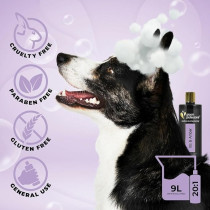 Groom Professional Iris And Amber Shampoo, 4 Litre