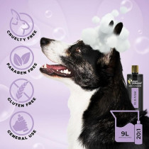 Groom Professional Iris And Amber Shampoo, 450Ml