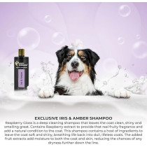 Groom Professional Iris And Amber Shampoo, 450Ml