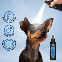 Groom Professional Prince Pet Cologne/Perfume, 100Ml