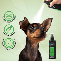 Groom Professional Star Pet Cologne/Perfume, 200 Ml