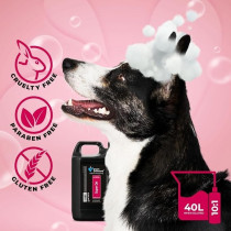 Groom Professional Super Dry Pet Shampoo, Refreshing Citrus Scent, 4 Litre