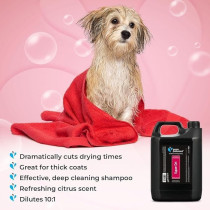 Groom Professional Super Dry Pet Shampoo, Refreshing Citrus Scent, 4 Litre