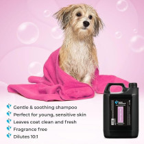 Groom Professional Tender Puppy Kitty Shampoo, 4 Litre